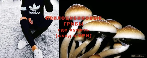 прущие крисы Балабаново