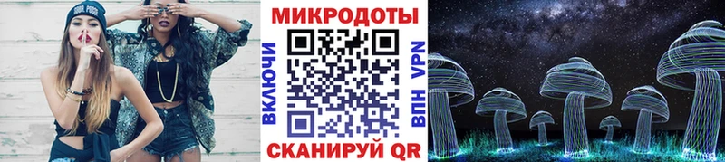 Псилоцибиновые грибы Psilocybe  купить  цена  Ужур 