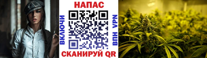 Марихуана конопля даркнет Telegram Ужур
